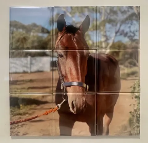 9-piece magnet puzzle