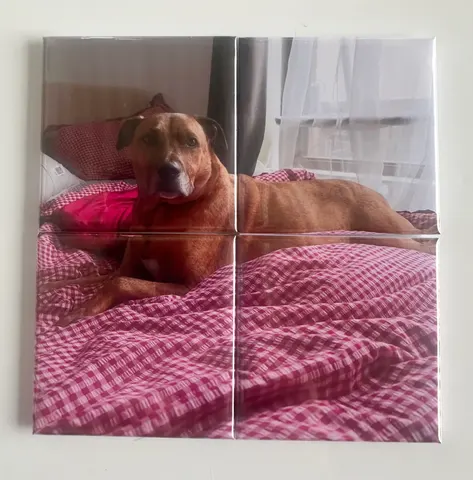 4-piece magnet puzzle